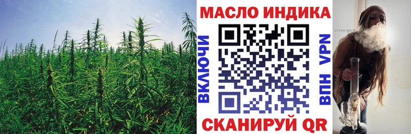 Купить где  Ртищево  ТГК концентрат 