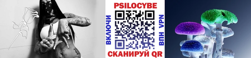 Купить где  Ртищево  Псилоцибиновые грибы мицелий 